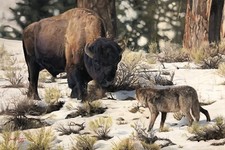 "Stand Off", dipinto ad olio