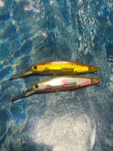Daiwa chaser - chaser, s