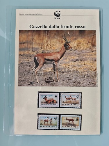 Wwf bolaffi gazzella - bolaffi, dalla