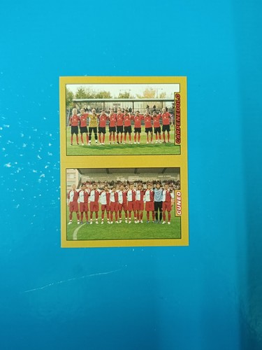 Figurina calciatori panini - figurina,