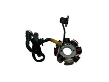 STATORE ALTERNATORE MAGNETE