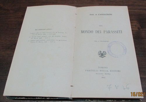 Nel mondo dei - nel,