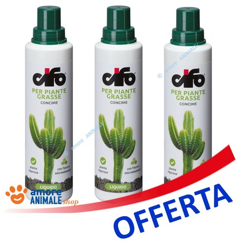 Cifo piante grasse - piante, ml
