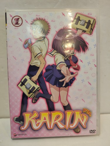 Karin infursion vol dvd - infursion, 1