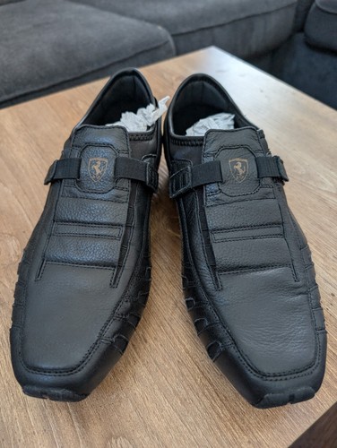 Nuovo puma vedano - nuovo, l
