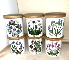 6 BARATTOLI PORTASPEZIE PORMEIRION DELLA SERIE BOTANICA, ANNO DI PRODUZIONE 1972