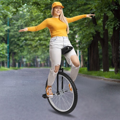 Bicicletta monociclo - bicicletta, 24