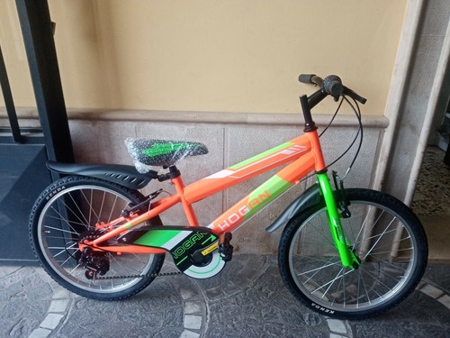 Bicicletta mountain bike - mountain-bike, 20