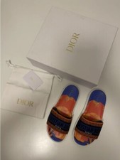 Christian Dior Dway slides