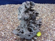 12# Texas/TN Holey Rock