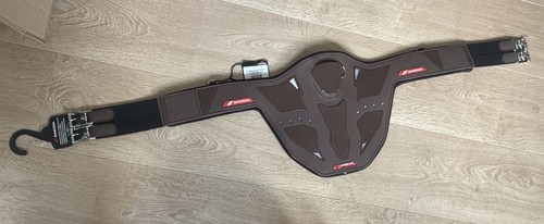 Zandonà carbon air - carbon, girth