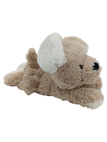 Markenlos peluche cane beige - peluche,