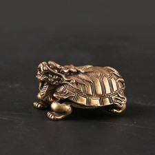 Simulazione Dragon Turtle