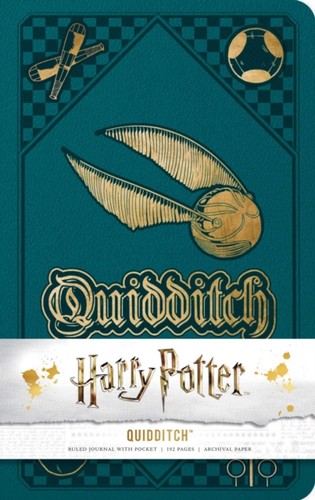 Harry potter quidditch - harry,