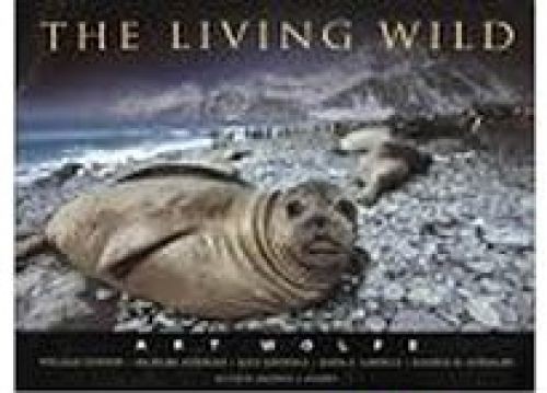 The living wild gilders - wild,