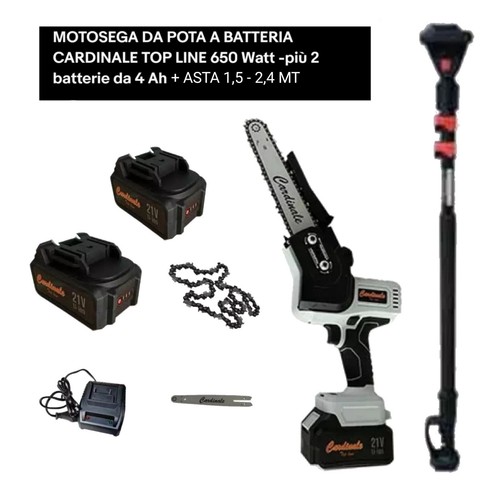 Motosega pota batteria - a,
