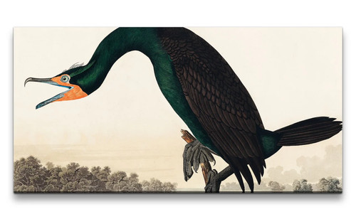 120x60cm remaster - 120x60cm,