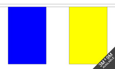  Royal Blue and Yellow