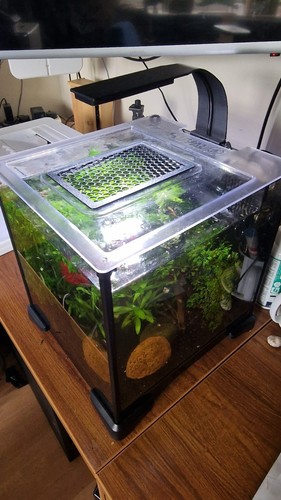 Coperchio mangime per fluval - coperchio,