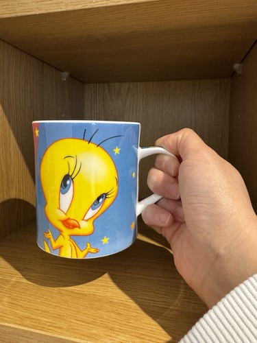 Vintage 1990s 2000s - vintage, looney