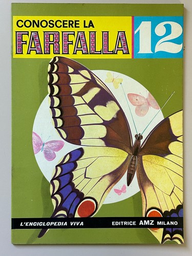 Conoscere farfalla - la,