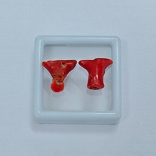 Corallo rosso naturale lucido
