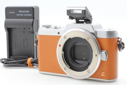Fotocamera mirrorless inglese