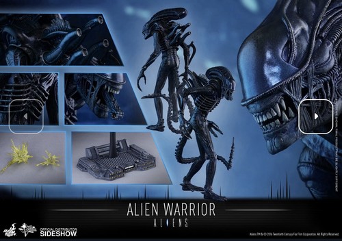 Hot toys aliens - hot,