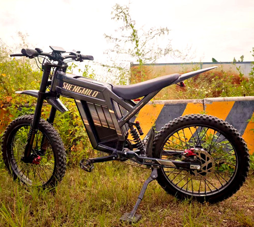 Bicicletta elettrica