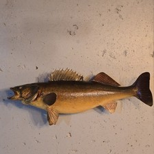 28" Walleye Wall Mount Vintage