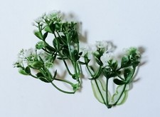 Set fiori per casa - , o