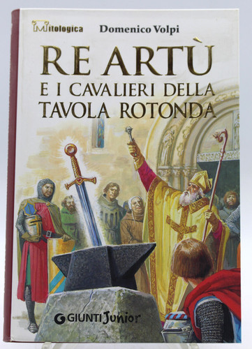 Libro artù cavalieri - libro, re