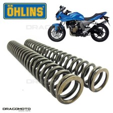 KAWASAKI Z 750 S 2005 molle