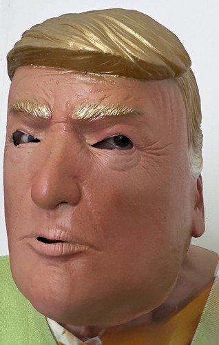 Costume candidato politico