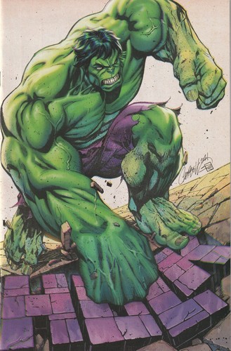 Hulk j scott campbell - hulk,