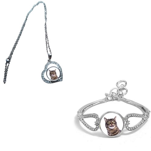 Set manx cat pet - of,