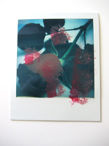 Araki polaroid originale - araki:,