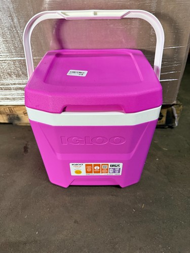 Igloo cool cooler quarzi - cooler, 12