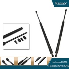 Asta supporto puntone