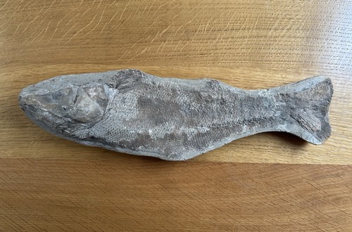 Pesce pietrificato vero - pesce,