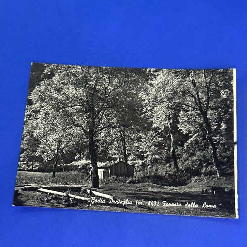 Badia prataglia foresta della - prataglia,