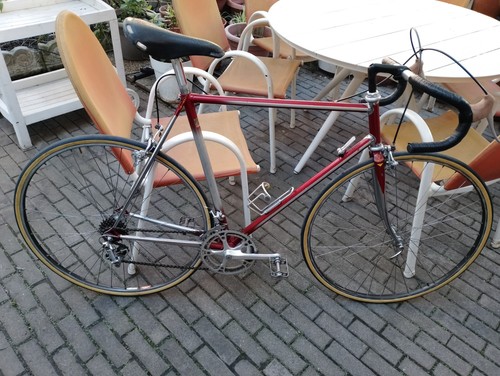 Bicicletta corsa santini - bicicletta,