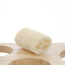 Carone spugna vegetale di - -,