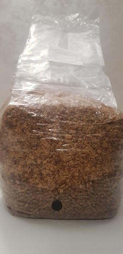 Kit grain spawn substrato - kit,