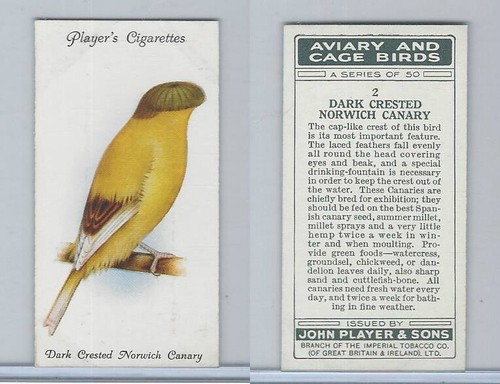 P72 player aviary - p72-66,