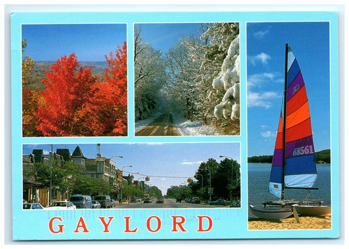 Cartolina gaylord michigan - cartolina,