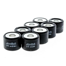 Rulli variatore POLINI 25X19 15,5 gr per Suzuki 400 AN Burgman 2009-2025