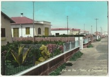 LIDO DEI PINI - ROMA - VILLINI AL LUNGOMARE - VIAGG. 1965 -64884-