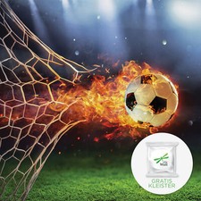 Fotomurale calcio CAMERA DEI