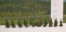 ALBERI TORRENTE OOSE - Alberi